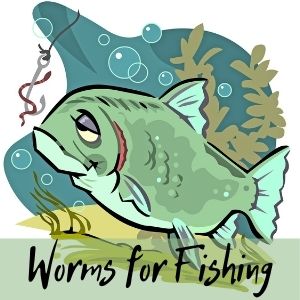 worms for fishing